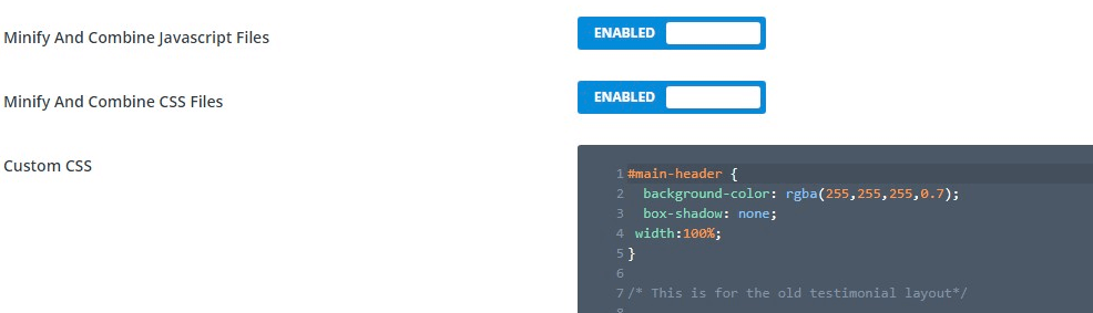 Minify your CSS and JavaScript files for a fast WordPress Website